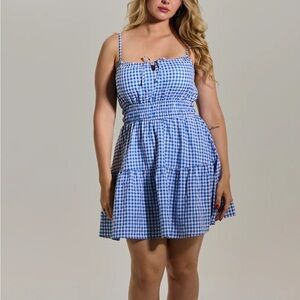 Blue Gingham Dress
